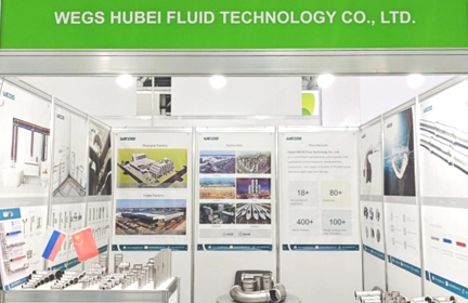 From February 2nd to 8th, WEGS, a leading global manufacturer of stainless steel pipes and fittings, participated in the Aquaflame Exhibition which was held in Russia.